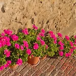 La Solana (adults Only) Country house Santillana del Mar