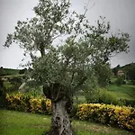 La Solana (adults Only) Country house