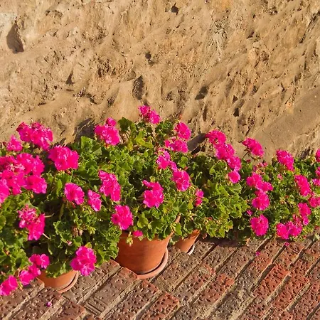 La Solana (adults Only) בית כפרי סנטילנה דל מר