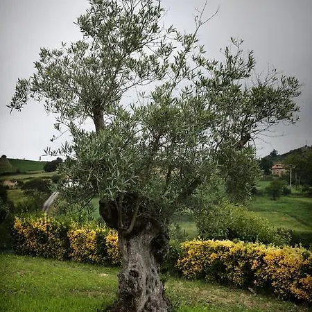 La Solana - Adults Only カントリーハウス