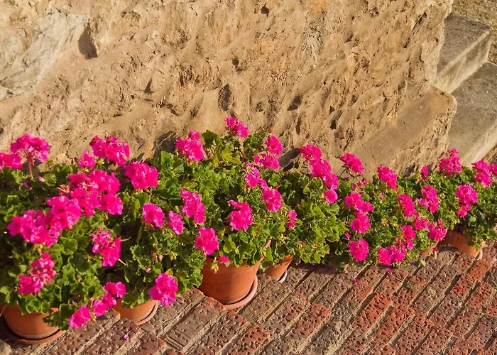 La Solana - Adults Only Country house Santillana del Mar