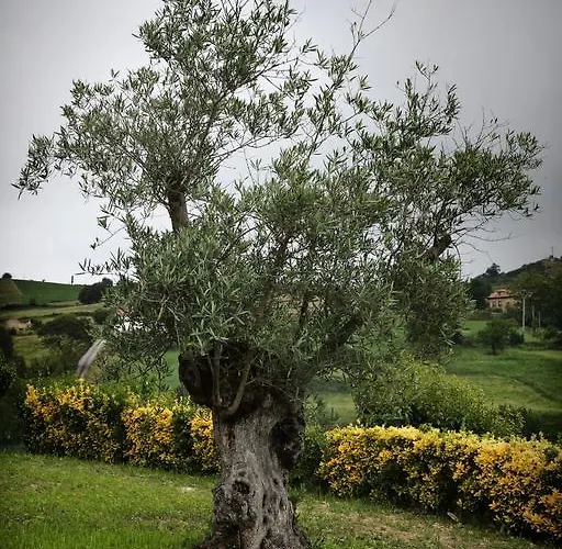 La Solana - Adults Only Country house